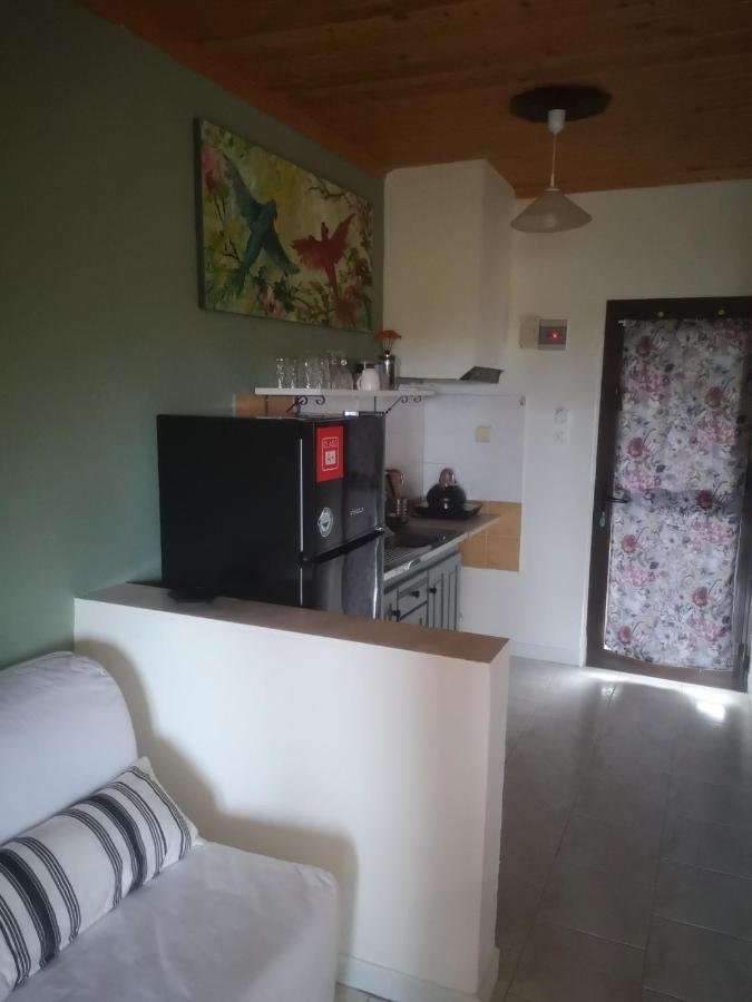 Achillion B&B Paralía Skotínis Esterno foto